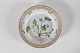 Royal Copenhagen
Flora Danica
Tallerken 20/3573
m/takket kant
Ø 19 cm
