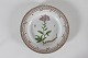 Royal Copenhagen
Flora Danica
Middagstallerken 3549 
Ø 25 cm
